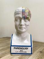 L.N.Fowler - Hoofd van een figuur - Large model Phrenology