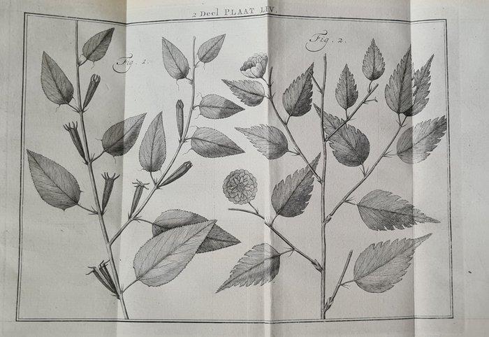 [Martinus Houttuyn] - Natuurlyke Historie, Of uitvoerige, Antiek en Kunst, Antiek | Boeken en Bijbels