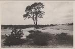 HULSHORST - Kamphuis De Dageraad. In het Hulshorsterzand, Verzamelen, Verzenden, Gelopen