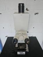 Microscoop - Jenamed - 1990-2000 - Carl Zeiss Jena