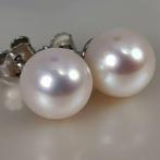 Oorbellen Zilver Parel - Grote Akoya RD Ø 9,8 mm, Sieraden, Tassen en Uiterlijk, Oorbellen, Nieuw