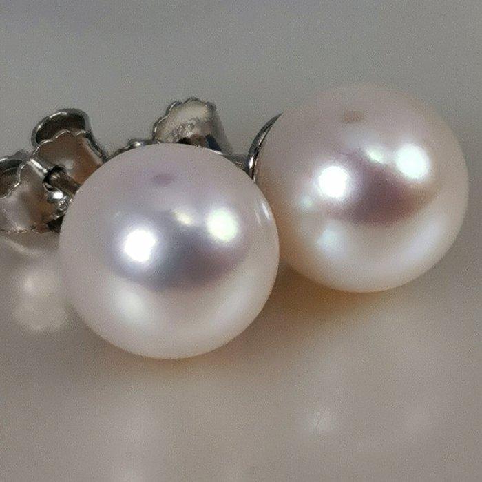 Oorbellen Zilver Parel - Grote Akoya RD Ø 9,8 mm, Sieraden, Tassen en Uiterlijk, Oorbellen