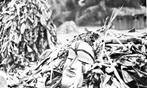 Ngobudi-masker - Bakongo - DR Congo (Zonder Minimumprijs), Antiek en Kunst