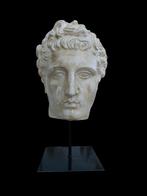 sculptuur, Testa di Eros - 33 cm - marmerstof, Antiek en Kunst, Antiek | Keramiek en Aardewerk