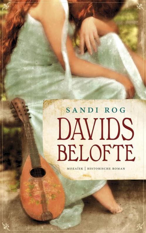 Davids belofte 9789023994275 Sandi Rog, Boeken, Historische romans, Zo goed als nieuw, Verzenden