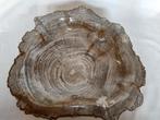 Kom - Bowl - versteend hout - kom