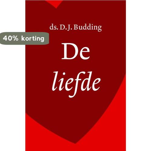 De Liefde 9789058299604 D.J. Budding, Boeken, Godsdienst en Theologie, Gelezen, Verzenden