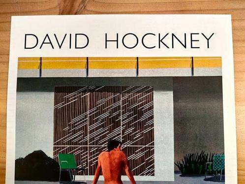 David Hockney (after) - Peter getting out of Nicks pool, Antiek en Kunst, Kunst | Tekeningen en Foto's