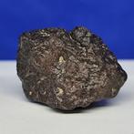 XL ANGRITE METEORITE -De oudste Plutonic steen in het, Verzamelen, Mineralen en Fossielen