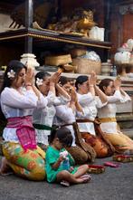 Geen minimumprijs - Grijze gebeeldhouwde koeienschedel met