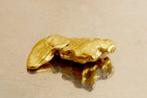 Goud Inheems, Nugget van Suriname of Frans-Guyana