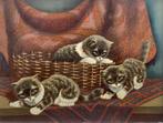 Hollandse School (XX) - Kittens in en rond een mand, Antiek en Kunst, Kunst | Schilderijen | Klassiek