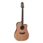 Takamine EN10C Japan Natural elec Dreadnought + Case instock, Muziek en Instrumenten, Nieuw, Ophalen of Verzenden, Met (piezo-)element