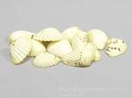 Tiger Chippy schelpen geel, 500 gram, Ophalen of Verzenden, Nieuw