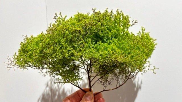 Ultra Realistische modelbouw bomen H0, N, TT - eigen, Hobby en Vrije tijd, Modeltreinen | H0