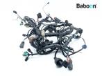 Kabelboom Kawasaki ZZR 1400 2010-2014 +ABS (ZX-14 ZZR1400, Motoren, Verzenden, Gebruikt