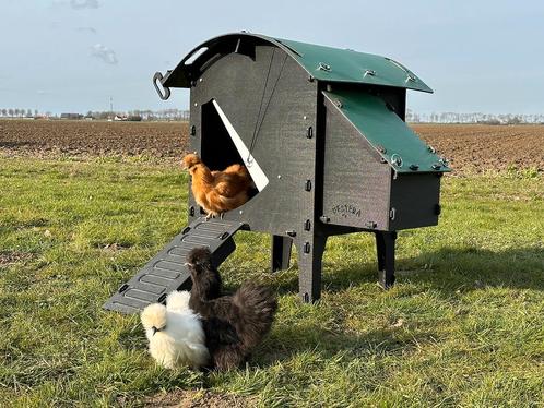 Kunststof Kippenhok - Nestera Small Op Pootjes, Dieren en Toebehoren, Pluimvee | Toebehoren, Ophalen of Verzenden