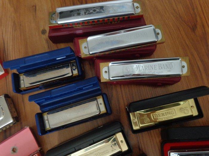 Hohner, Various brands, Hering - Marine Band, Tremolo,, Muziek en Instrumenten, Blaasinstrumenten | Blokfluiten
