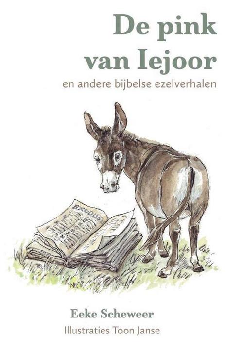 De pink van Iejoor 9789493175211 Eeke Scheweer, Boeken, Esoterie en Spiritualiteit, Zo goed als nieuw, Verzenden