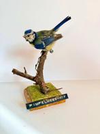 Euraziatische blauwe mees (Vrouw) Taxidermie volledige, Verzamelen, Dierenverzamelingen, Nieuw