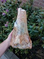 Wolharige mammoet - Fossiel bot - Mammuthus primigenius, Verzamelen