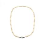Zonder Minimumprijs - Halsketting - 8 karaat Geel goud Parel, Sieraden, Tassen en Uiterlijk, Kettingen, Nieuw