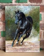 Alexander Nakonechny (1971) - Black horse