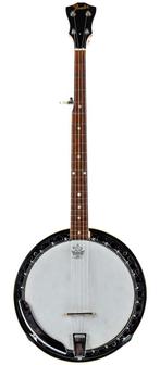 Fender Allegro Banjo 1974 (Folk & Bluegrass), Muziek en Instrumenten, Snaarinstrumenten | Banjo's, Overige typen, Gebruikt, Ophalen of Verzenden