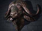 Large Replica Cape Buffalo Taxidermie wandmontage - Syncerus, Nieuw
