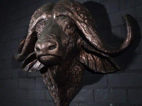 Large Replica Cape Buffalo Taxidermie wandmontage - Syncerus, Verzamelen, Dierenverzamelingen