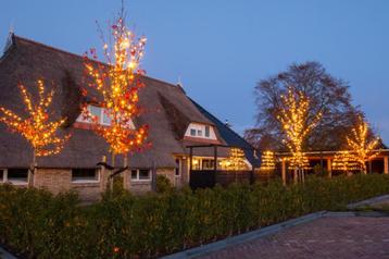 Boomverlichting / struik verlichting professioneel beschikbaar voor biedingen