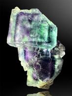 Phantomfluoriet Mineralencollectie - Hoogte: 4 cm - Breedte: