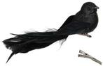 Glittervogels met clip Zwart 16x4 cm pak 4 stuks, Ophalen of Verzenden, Nieuw
