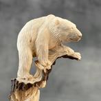 Snijwerk, NO RESERVE PRICE - Stunning Bear carving from deer, Antiek en Kunst