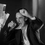 Roberto Cavalli - Nick Cave & Warren Ellis, Let love in /