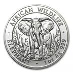 Somalische Olifant 1 oz 2004 (5.000 oplage), Postzegels en Munten, Munten | Afrika, Zilver, Losse munt, Overige landen, Verzenden