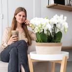 Kolibri Orchids | complete orchideeënset in Cotton Basket |, Verzenden, Nieuw