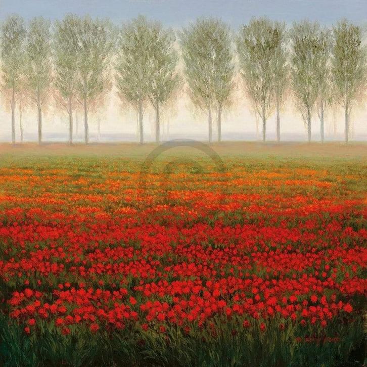 Kunstdruk Park - Morning Mist 68x68cm, Huis en Inrichting, Woonaccessoires | Schilderijen, Tekeningen en Foto's, Nieuw, Verzenden