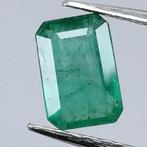 Smaragd - 0.86 ct - Instituto Gemólogico Español (IGE), Nieuw