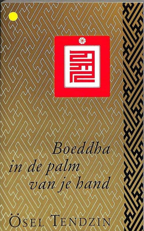 Boeddha in de palm van je hand 9789063253479 Tendzin, Boeken, Esoterie en Spiritualiteit, Gelezen, Verzenden