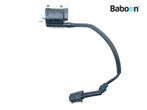 Bobine Royal Enfield Interceptor 650 2022, Verzenden, Gebruikt
