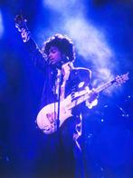 Govert - Prince Detroit Purple Rain Tour