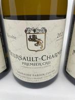 2021 Fabien Coche Charmes - Meursault 1er Cru - 3 Flessen, Nieuw