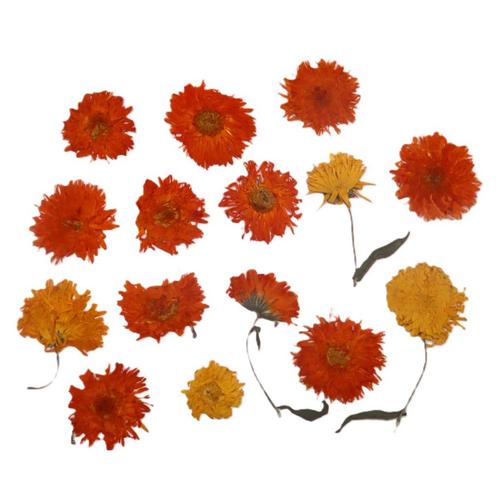 Eetbare Geperste Goudsbloemen (15 stuks)**, Hobby en Vrije tijd, Taarten en Cupcakes maken, Nieuw, Verzenden