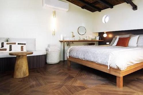 Huis Friese Varkenmarkt in Haarlem, Huizen en Kamers, Huizen te huur, Via bemiddelaar, Noord-Holland, Overige soorten