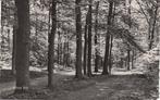 EDE - Edese Bos, Verzenden, Gelopen