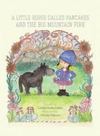 A little horse called Pancakes and the big mountain fire by, Candice Noakes-Dobson, Gelezen, Verzenden