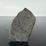 CM2 ZEER ZELDZAM, Slechts 910 gram in de wereld NWA 12917.