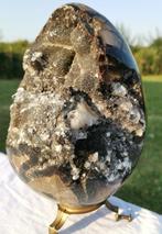 Zeldzaam origineel Septarian DraagonEi, met kristallen erin,, Verzamelen, Mineralen en Fossielen