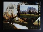 Christo & Jeanne-Claude (1935-2020) - Wrapped Trees,, Antiek en Kunst